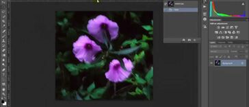 Adobe Photoshop 14 CC Creative Cloud How to Reduce camera shake blurring