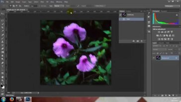 Adobe Photoshop 14 CC Creative Cloud How to Reduce camera shake blurring